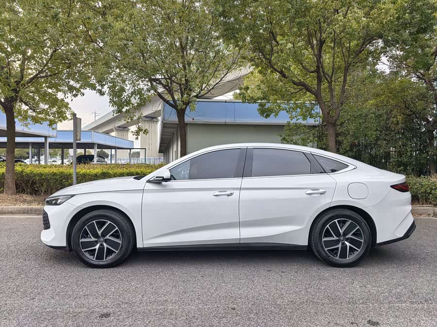 BYD Qin L 2025 car image #5