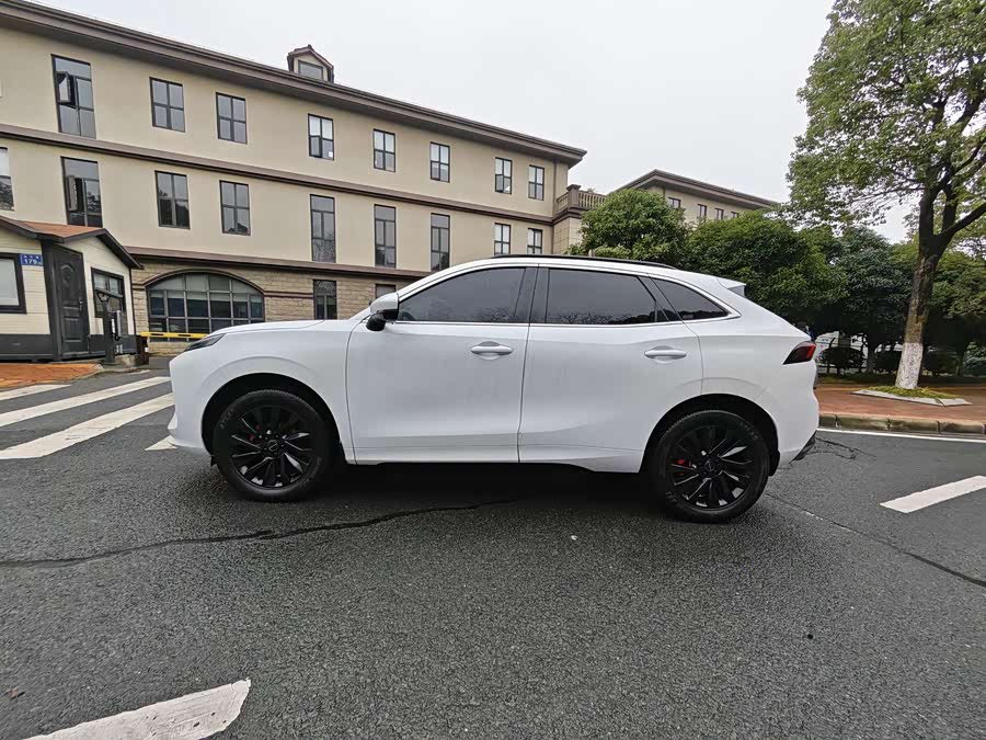 Forthing T5 EVO 2021 car image #5