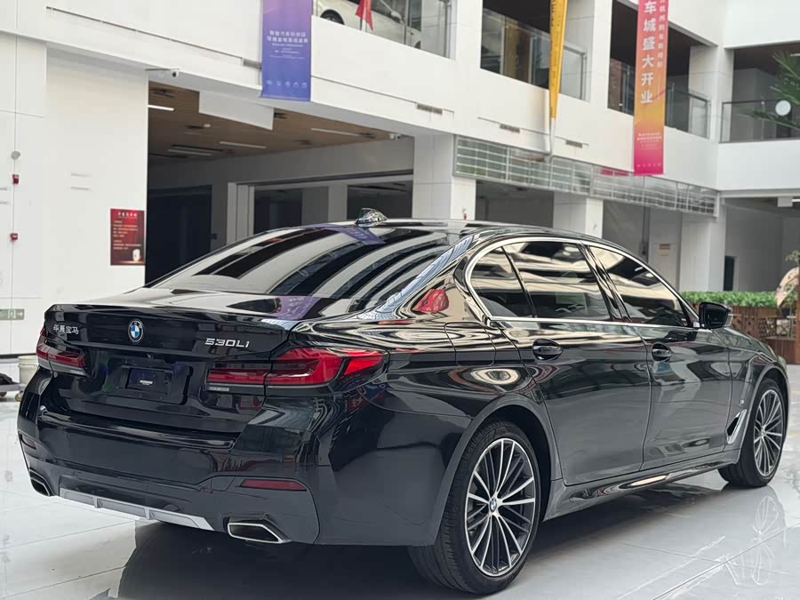 BMW 5 Series 2022 car image #5