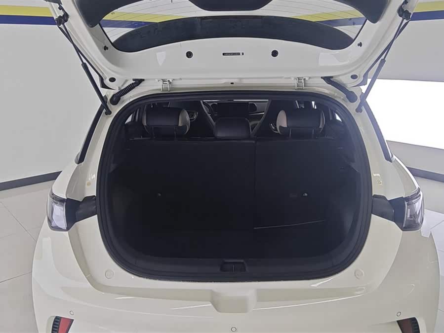 BYD Dolphin 2024 imagem de carro #5