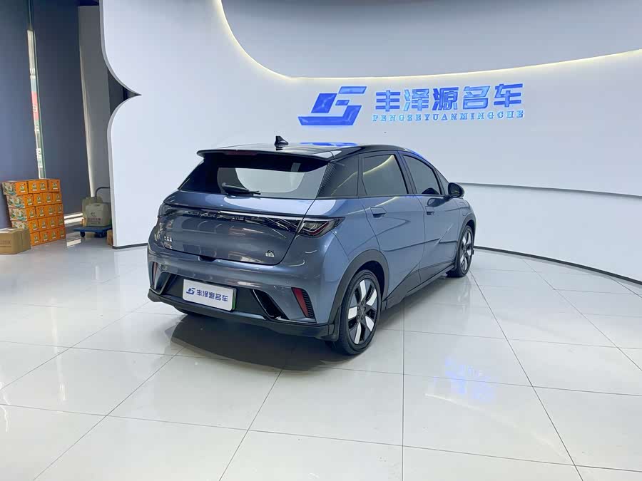 BYD Dolphin 2023 #5 BYD Dolphin 2023 car image #5