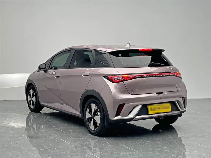 BYD Dolphin 2023 immagine di auto #5