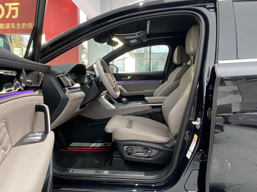 BYD Tang New Energy 2025 car image #5