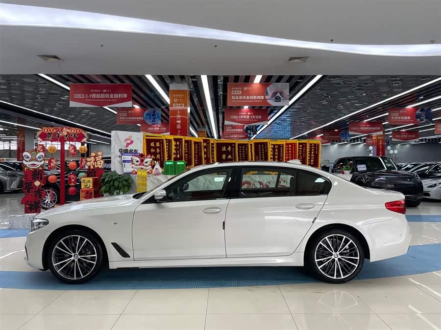 BMW 5 Series 2019 car image #5