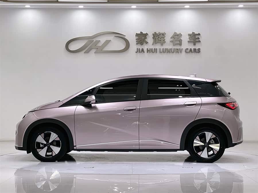 BYD Dolphin 2024 imagem de carro #5