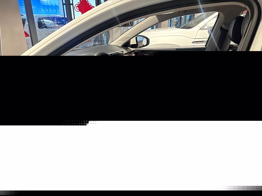 Volkswagen Bora 2024 car image #5