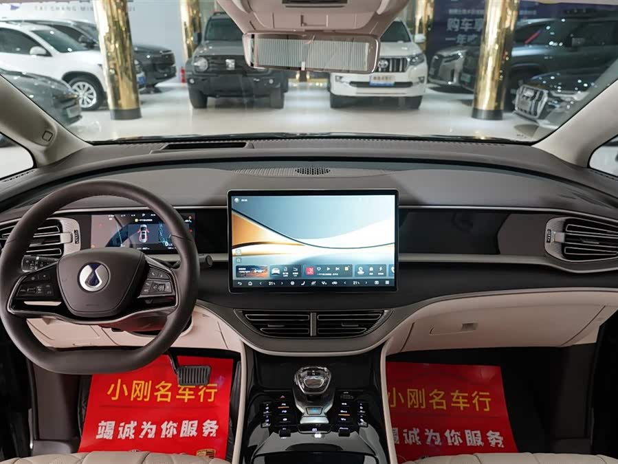 Denza D9 2024 imagem de carro #5