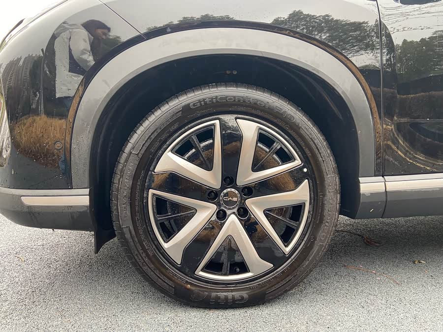 BYD Sea Lion 07 DM-i 2025 car image #5