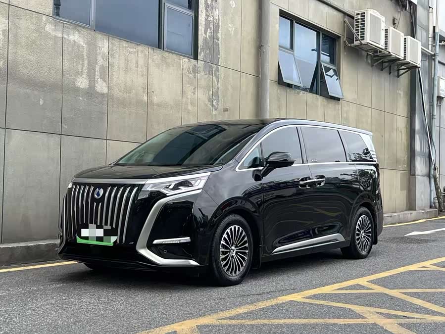 Denza D9 2024 car image #5