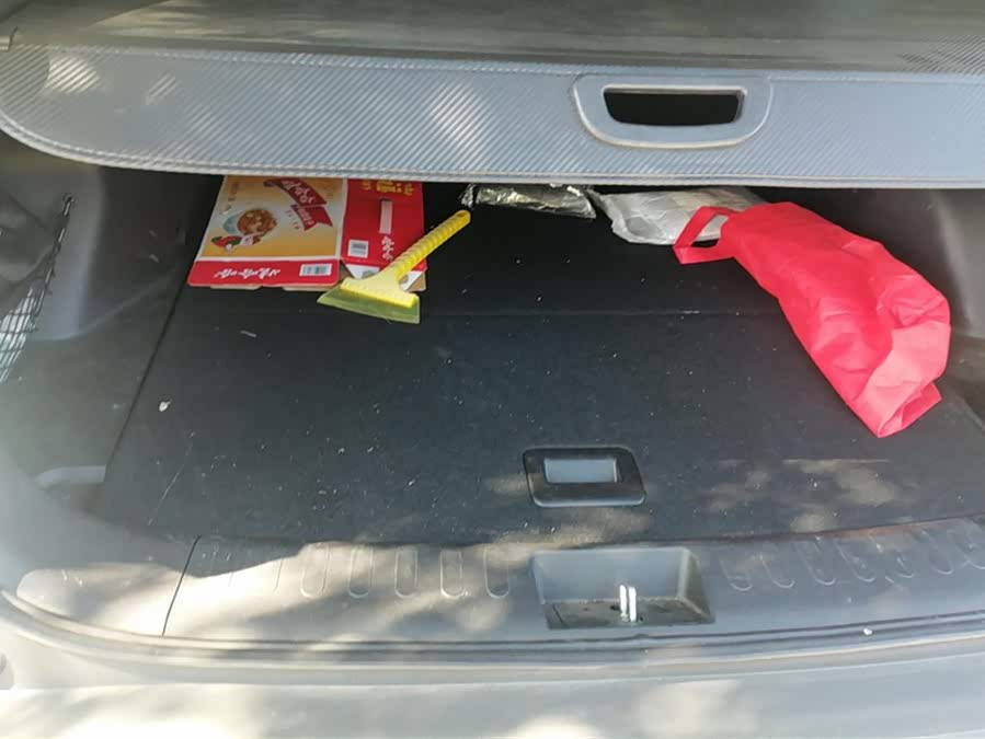 Soueast DX7 2020 car image #5