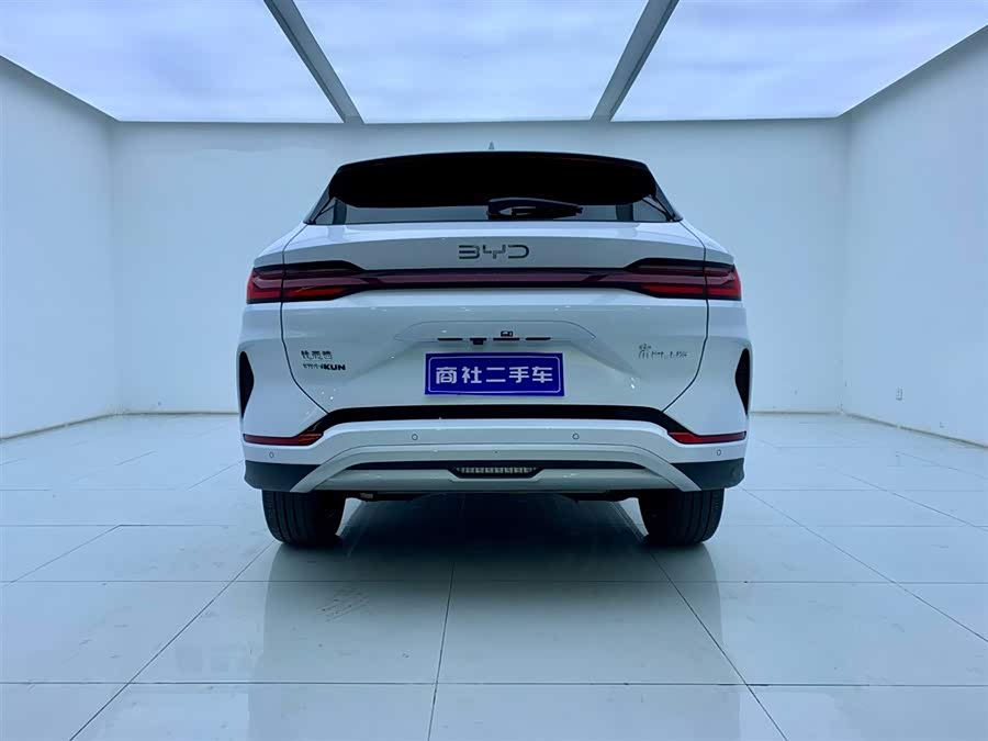 BYD Song Plus New Energy 2025 car image #5