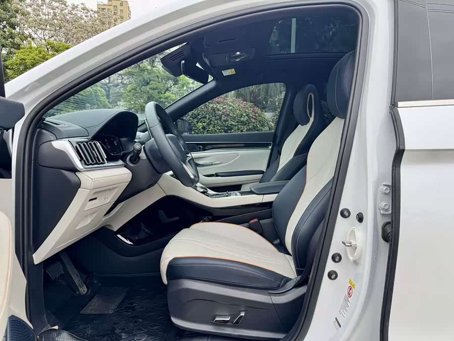 BYD Song Plus New Energy 2023 car image #5