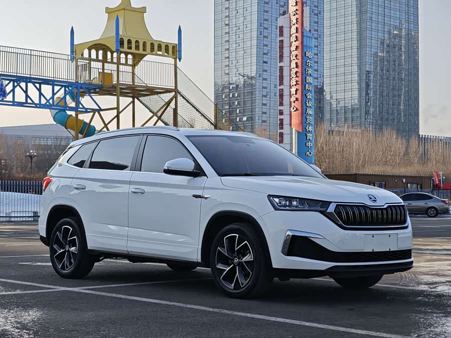 Skoda Kamiq 2021 car image #5