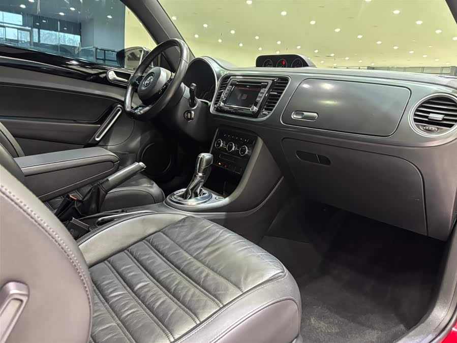 Volkswagen Beetle 2014 immagine di auto #5