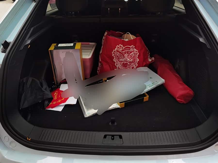 睿蓝汽车 睿蓝7 2024 汽车图片 #5