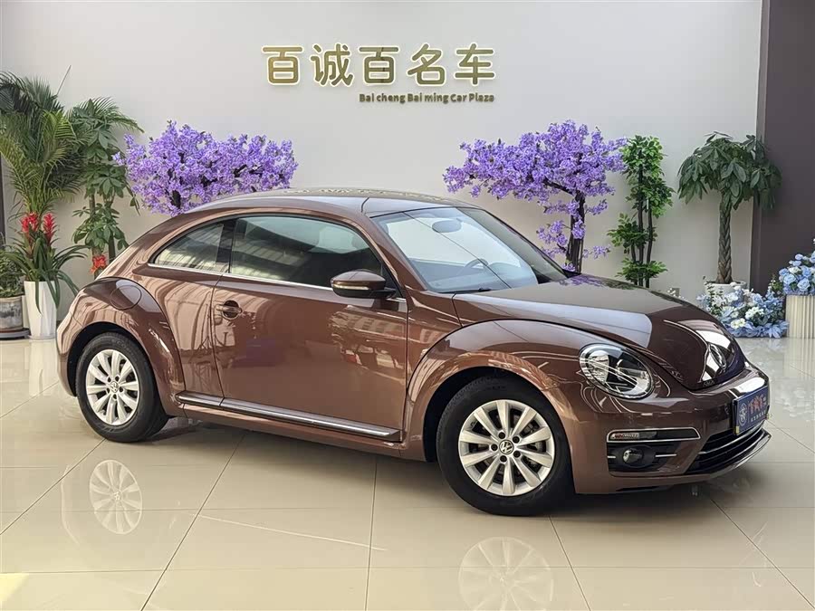 Volkswagen Beetle 2017 immagine di auto #5