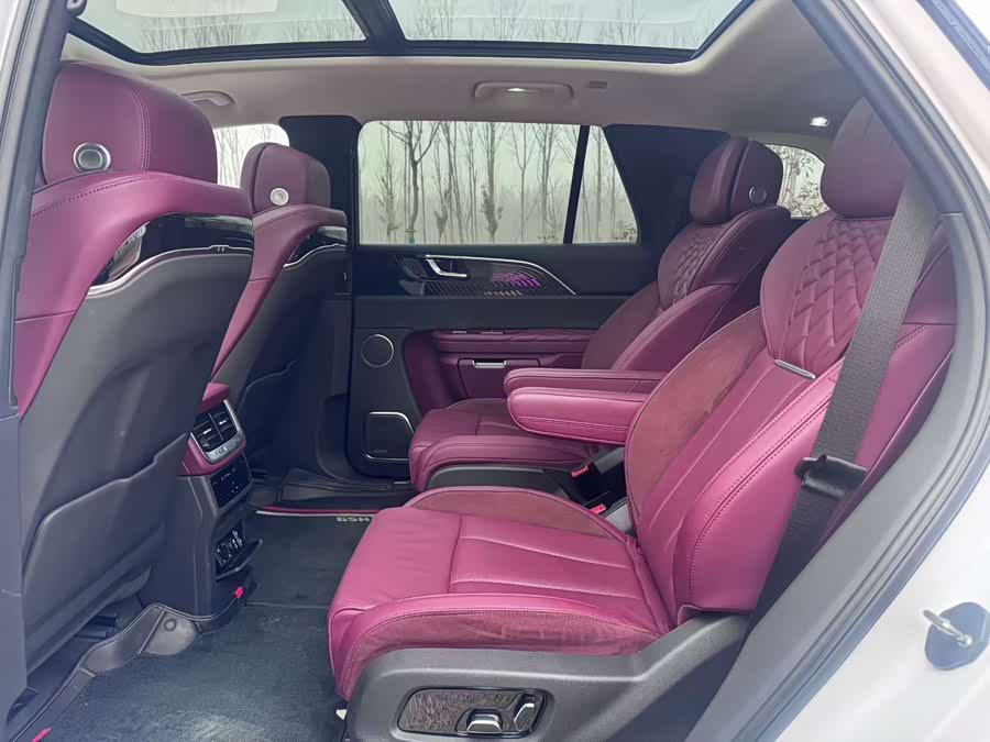 HongQi E-HS9 2021 immagine di auto #5