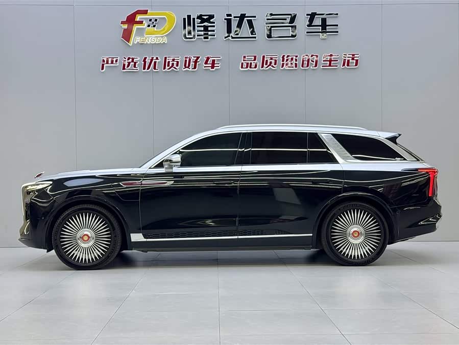 HongQi E-HS9 2021 image de voiture #5