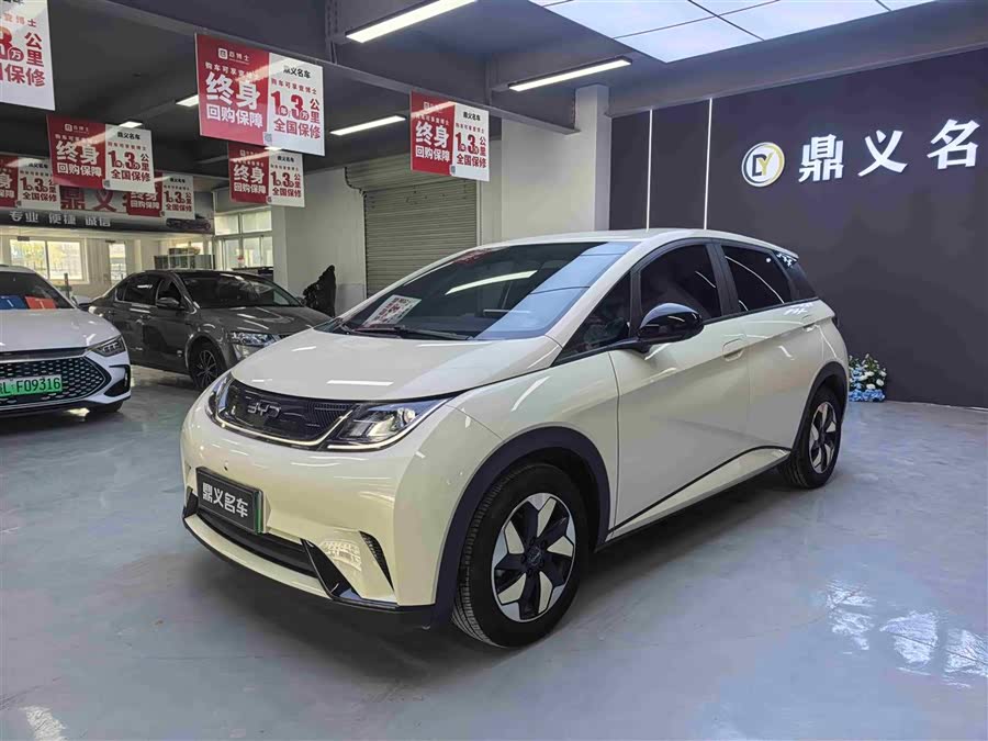 BYD Dolphin 2024 صورة سيارة #5