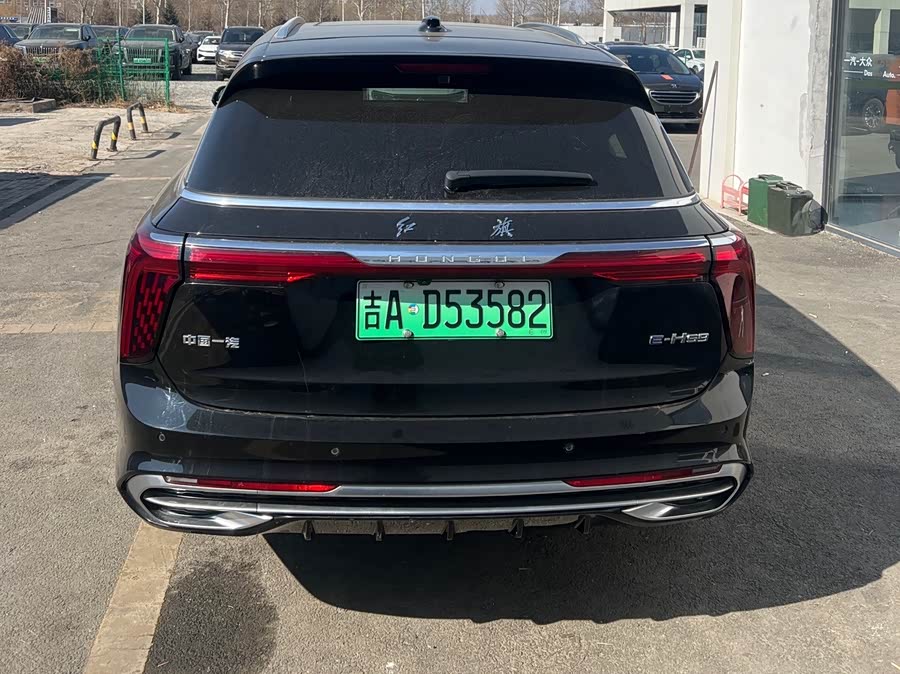 HongQi E-HS9 2023 image de voiture #5