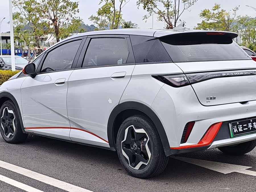 BYD Dolphin 2021 imagen de coche #5