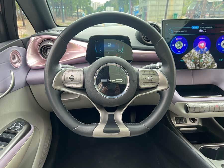 BYD Dolphin 2022 imagem de carro #5