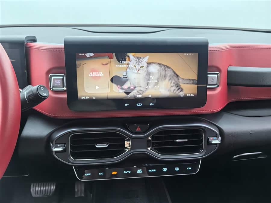 GEELY ICON 2020 imagem de carro #5