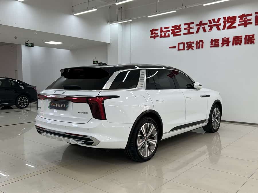 HongQi E-HS9 2023 immagine di auto #5