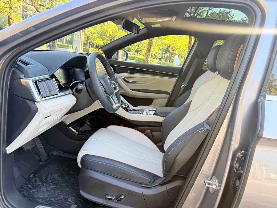 BYD Song Plus New Energy 2023 car image #5