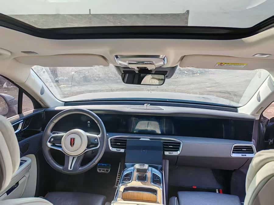 HongQi E-HS9 2021 imagem de carro #5