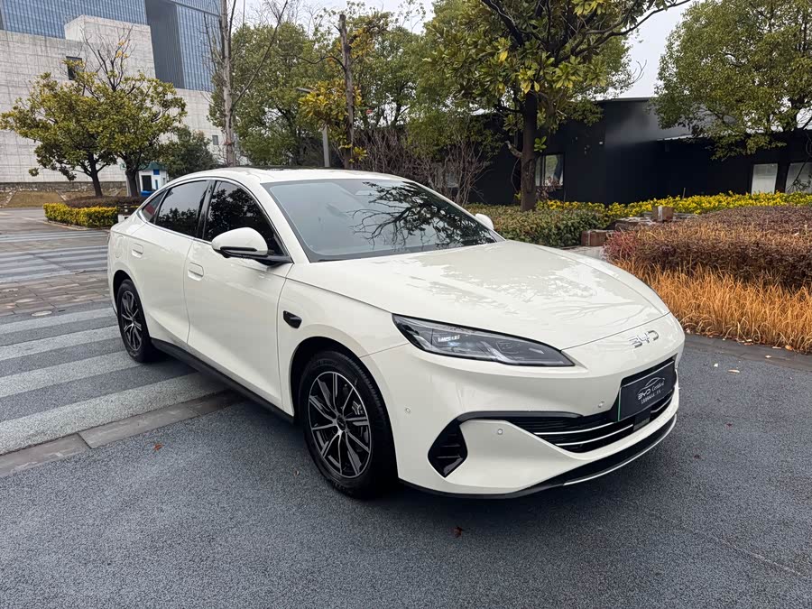 BYD Tang New Energy 2022 car image #5