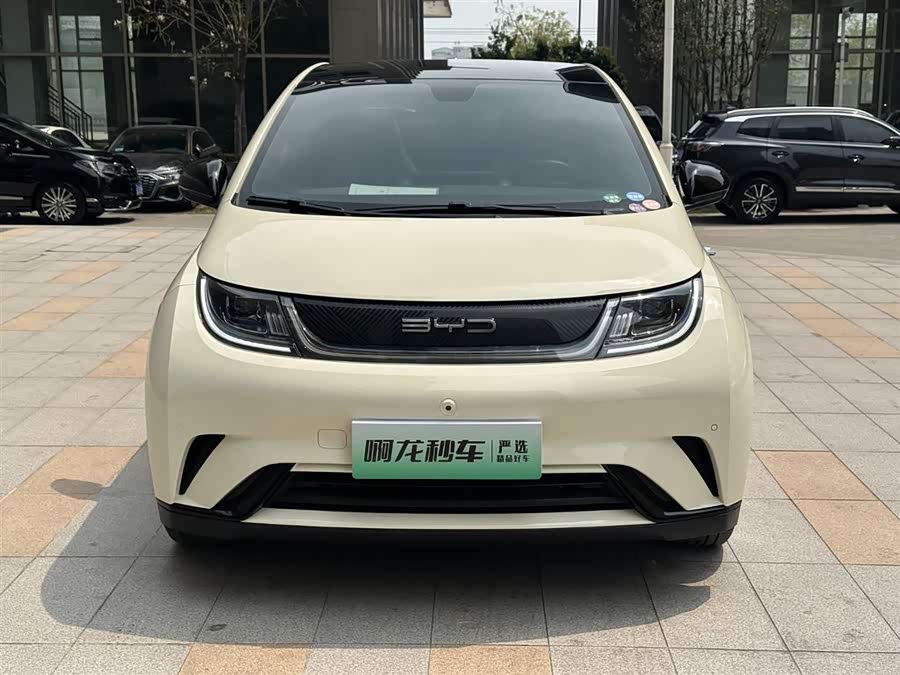 BYD Dolphin 2023 imagem de carro #5