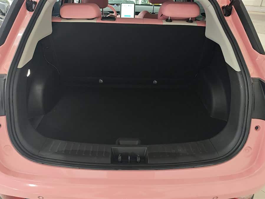 Neta V 2022 صورة سيارة #5