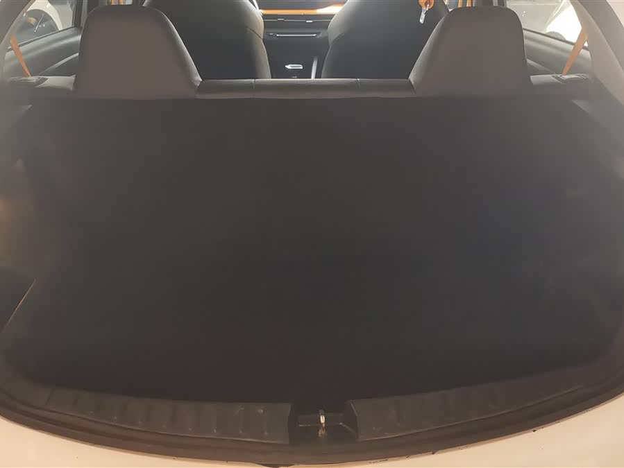 X3 PRO 2022 car image #5