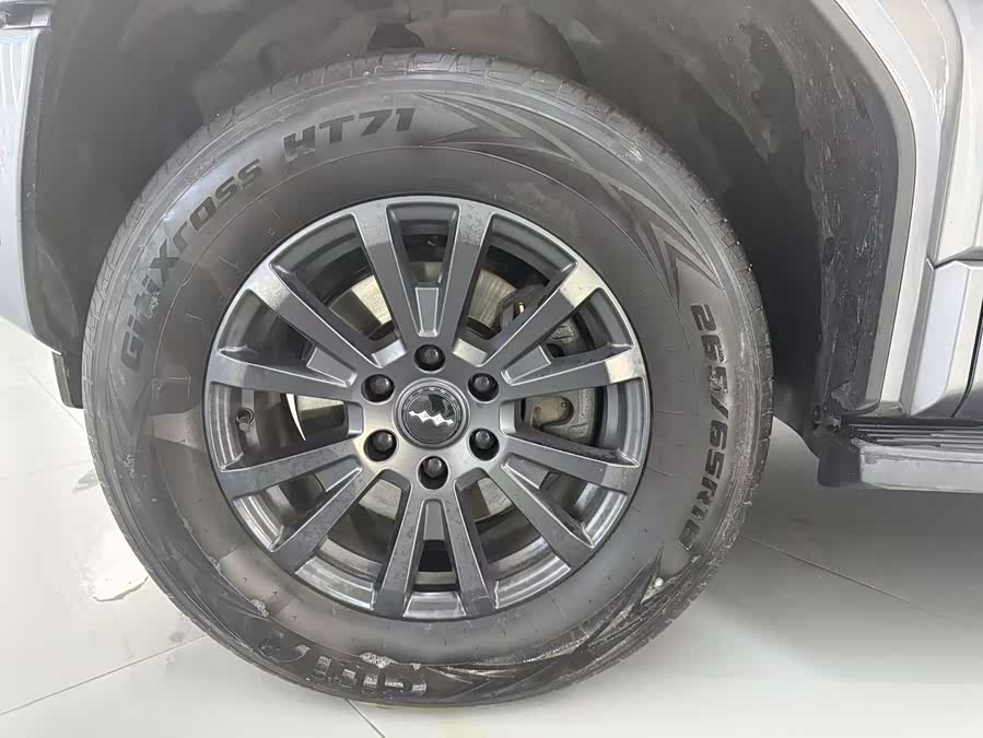 FangChengBao Leopard 5 2025 car image #5