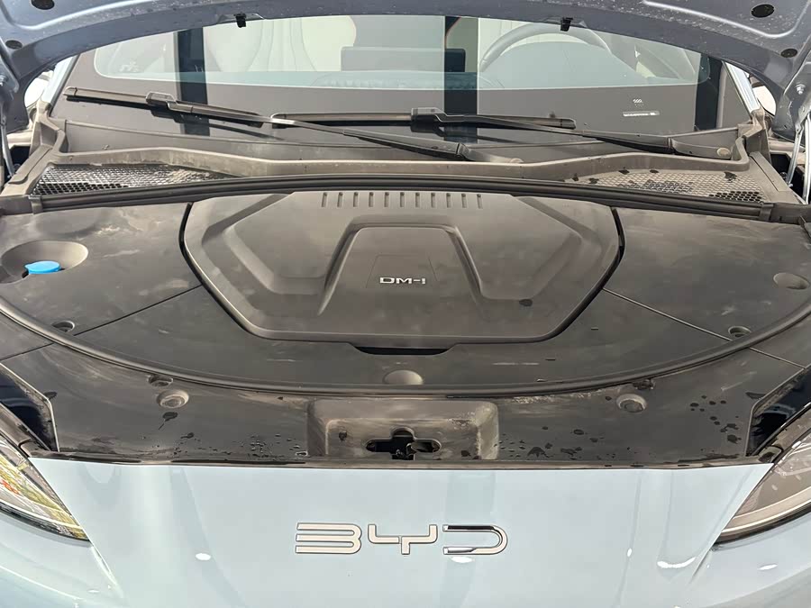 BYD Song Plus New Energy 2024 immagine di auto #5