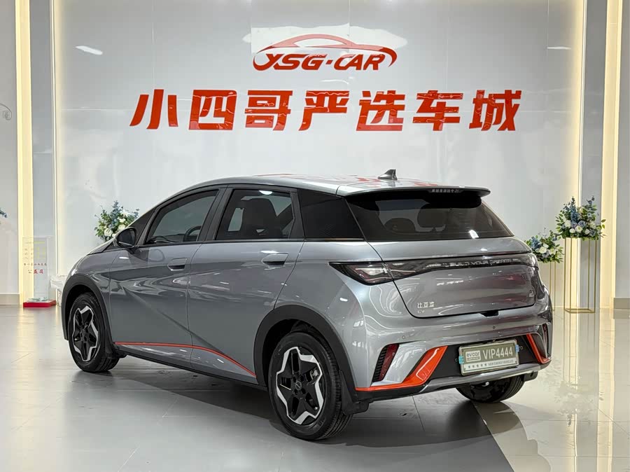 BYD Dolphin 2023 imagem de carro #5