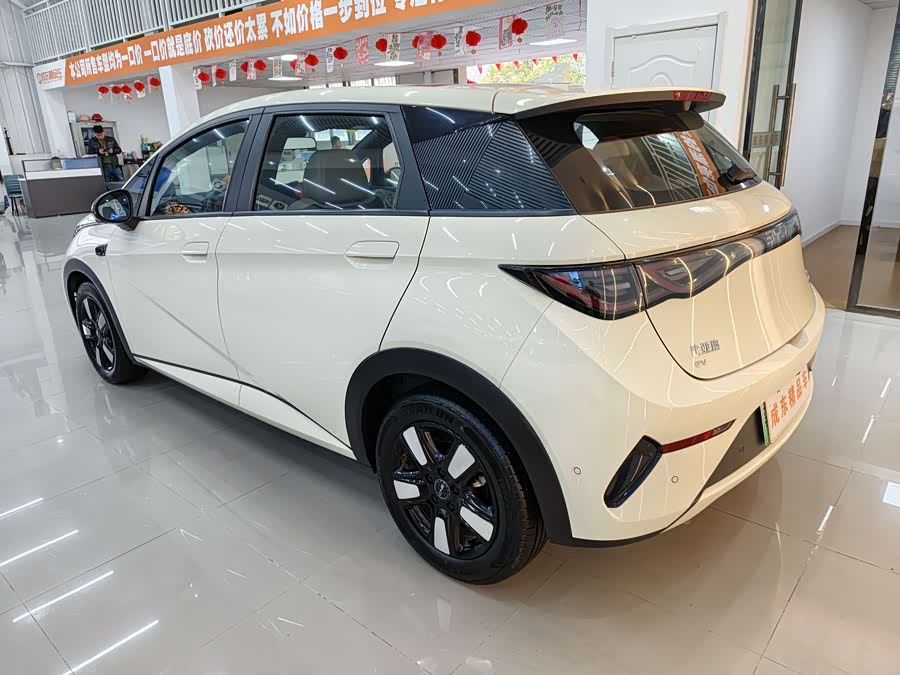 BYD Dolphin 2025 imagen de coche #5