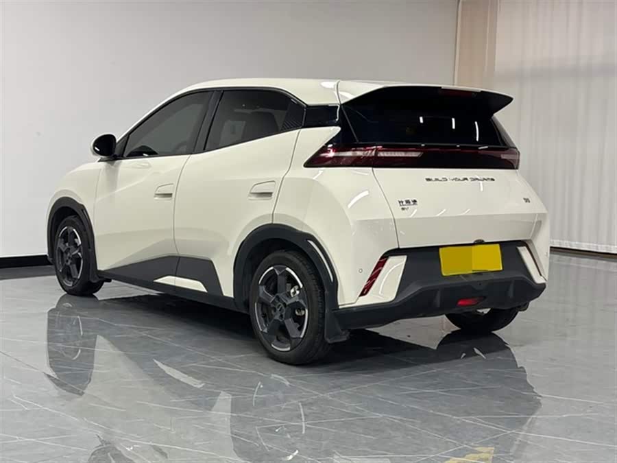 BYD Seagull 2023 imagen de coche #5