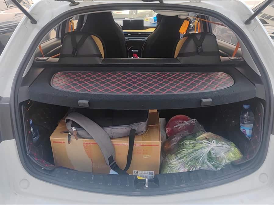 睿蓝汽车 睿蓝汽车X3 PRO 2022 汽车图片 #5