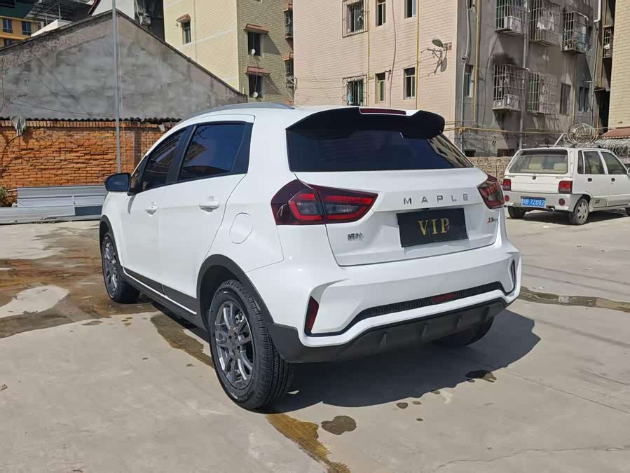 睿蓝汽车 睿蓝汽车X3 PRO 2023 汽车图片 #5