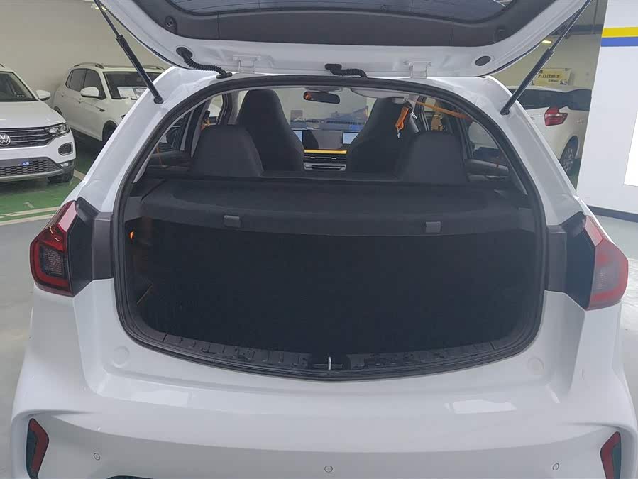 睿蓝汽车 睿蓝汽车X3 PRO 2022 汽车图片 #5