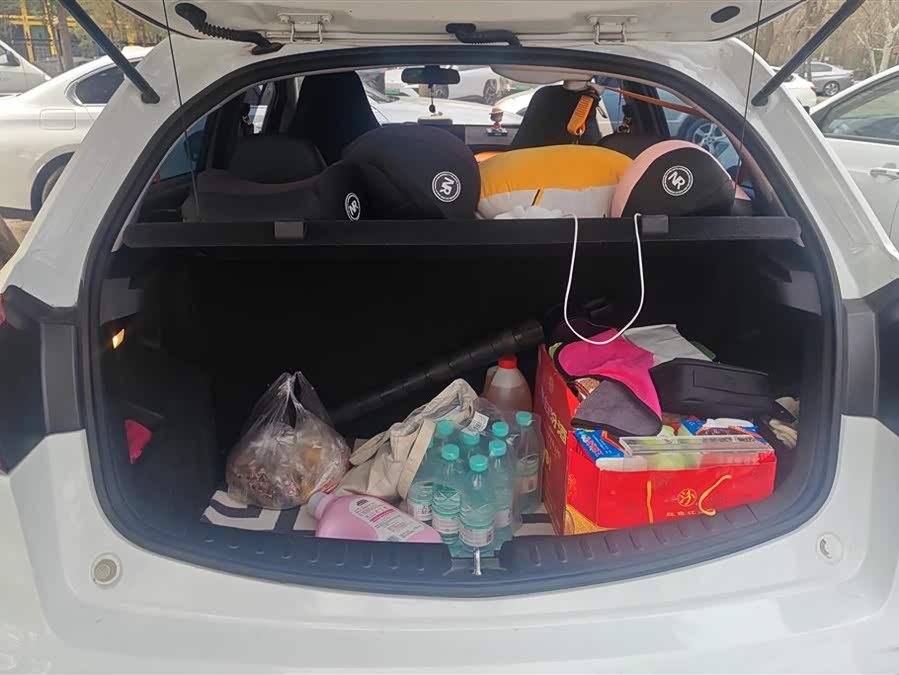 睿蓝汽车 睿蓝汽车X3 PRO 2022 汽车图片 #5