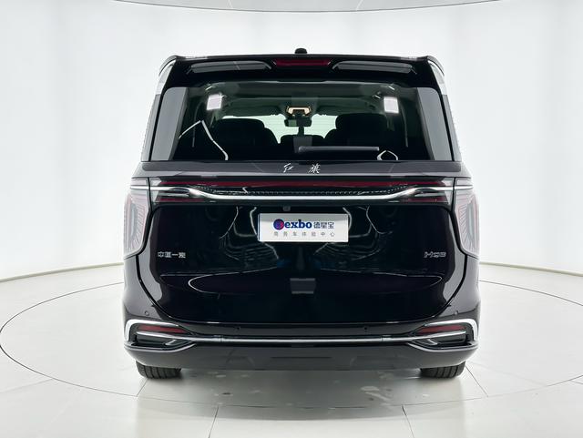HongQi HQ9 2023 car image #5