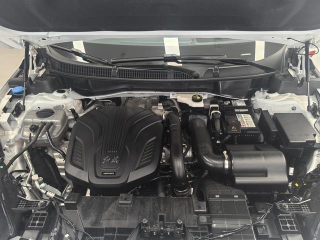 HongQi HS3 2023 immagine di auto #5