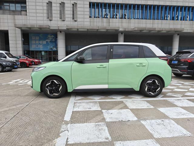 BYD D1 2021 car image #5