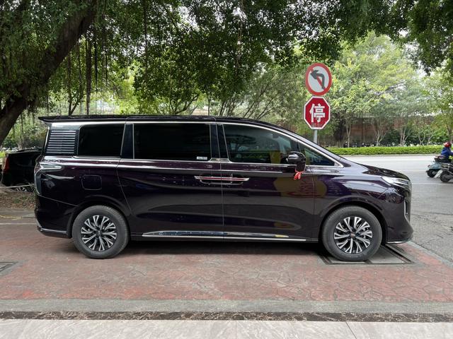 HongQi HQ9 PHEV 2024 #5 HongQi HQ9 PHEV 2024 car image #5