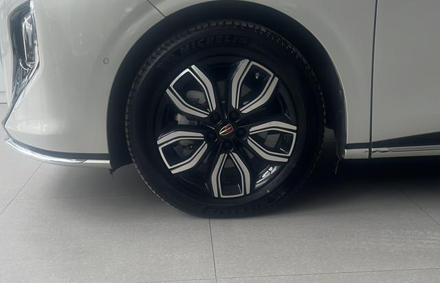 HongQi HQ9 2023 car image #5