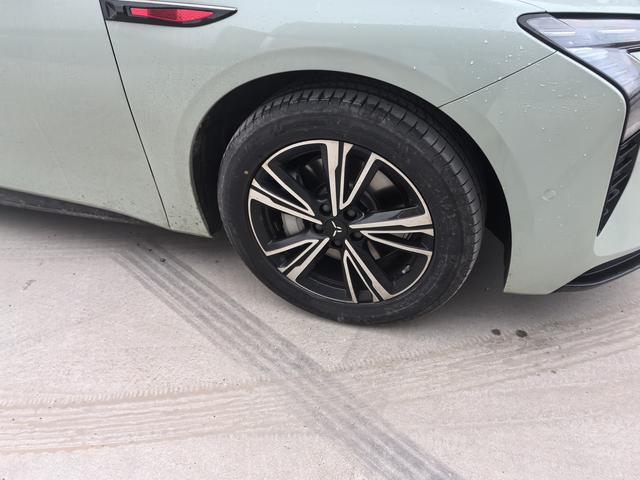 HongQi EH7 2024 car image #5