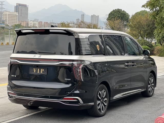 HongQi HQ9 2023 car image #5